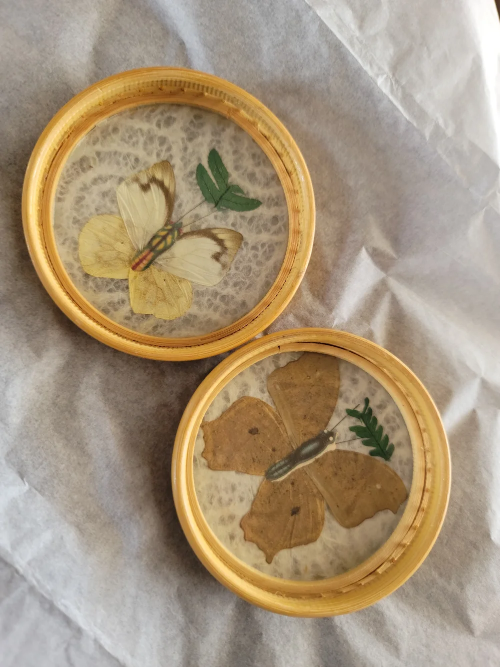 Set Of 2-Vintage Round Butterfly Coasters or Wall Art  Barconic Retro